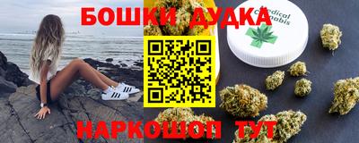 стаф Тула